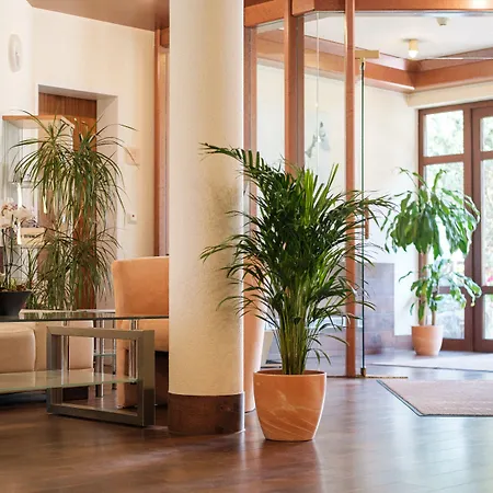 Hotel Flora Möhringen-2